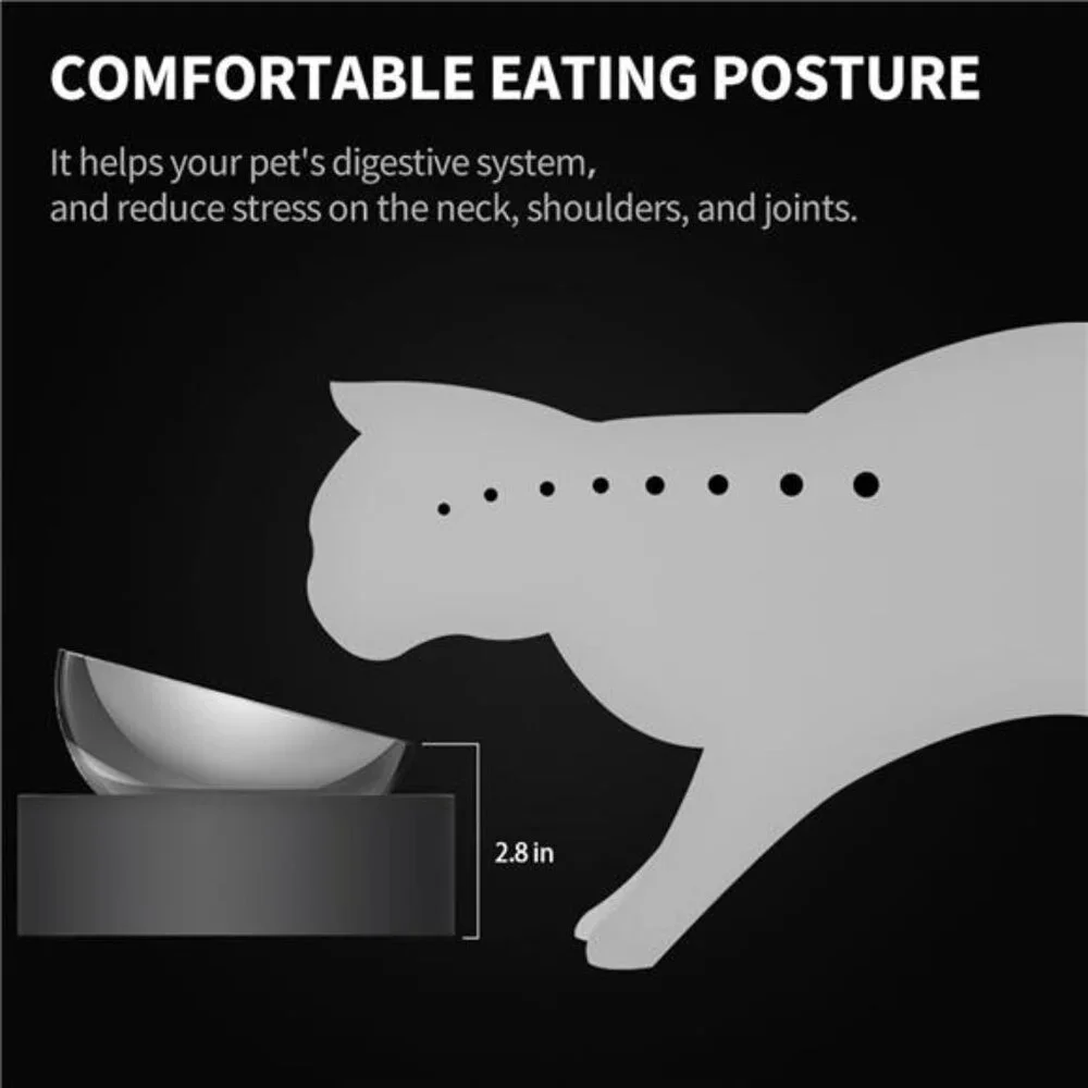 Raised Dog Cat Food Bowl 304 Stainless Steel, Elevated Pet Food and Water Bowl